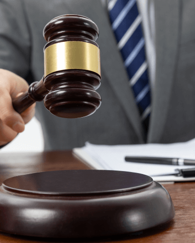 Government & Public Sector